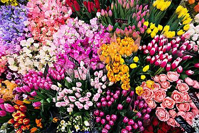 《极限竞速：Motorsport》宣布首个内容更新 11月中旬上线